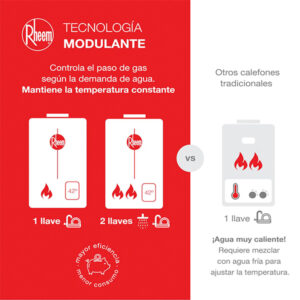 Calefont 14 LT Tiro forzado Gas natural rheem